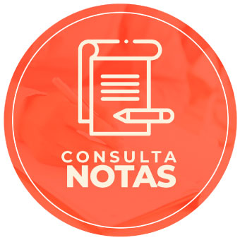 CONSULTA-DE-NOTAS
